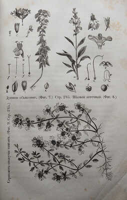 Целебный источник здоровья (домашний лечебник)... М., 1867.